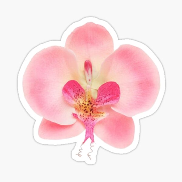 Item preview, pink orchid flower sticker designed and sold by inainart.