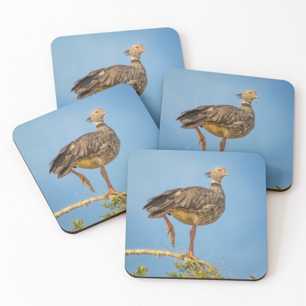 Item preview, Southern Screamer Pantanal Brazil designed and sold by PhotoArt by Joan Carroll.