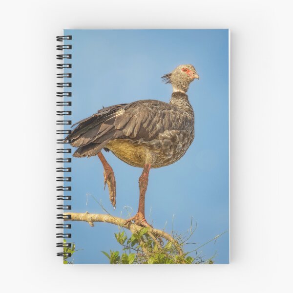 Item preview, Southern Screamer Pantanal Brazil designed and sold by PhotoArt by Joan Carroll.