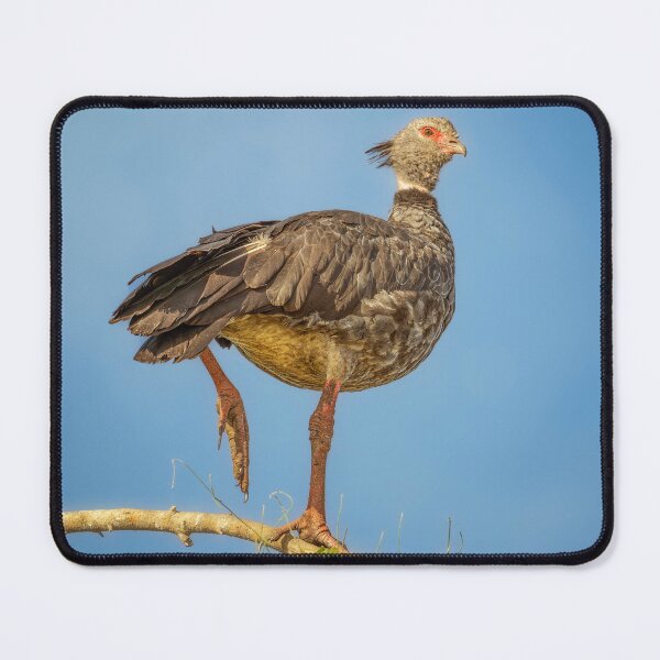 Item preview, Southern Screamer Pantanal Brazil designed and sold by PhotoArt by Joan Carroll.