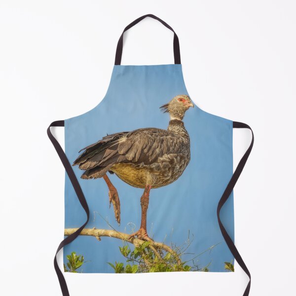 Item preview, Southern Screamer Pantanal Brazil designed and sold by PhotoArt by Joan Carroll.