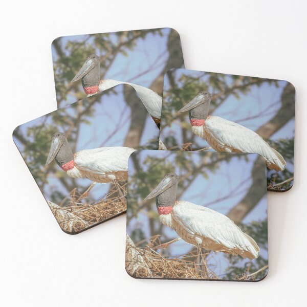 Item preview, Jabiru Stork Tending the Nest Pantanal Brazil designed and sold by PhotoArt by Joan Carroll.