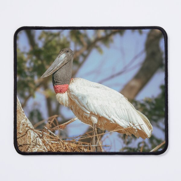 Item preview, Jabiru Stork Tending the Nest Pantanal Brazil designed and sold by PhotoArt by Joan Carroll.