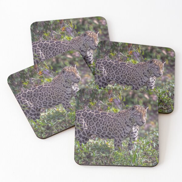 Item preview, Jaguar on the Prowl 6 Pantanal Brazil designed and sold by PhotoArt by Joan Carroll.