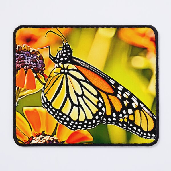 Item preview, Delicate Monarch Butterfly Bloom Design designed and sold by Health And Fitness Posts e-Store.