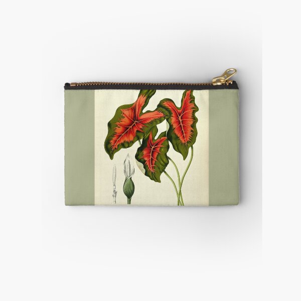 Item preview, Caladium bicolor designed and sold by 19th Century in Color.