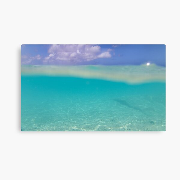Item preview, Underwater Caribbean Sea Dream 1 designed and sold by Anita's & Bella's Art.