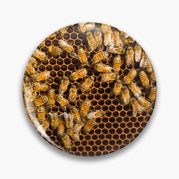 Item preview, Bees Honeycomb Nature Natural Food designed and sold by Kevin Miller Photography.