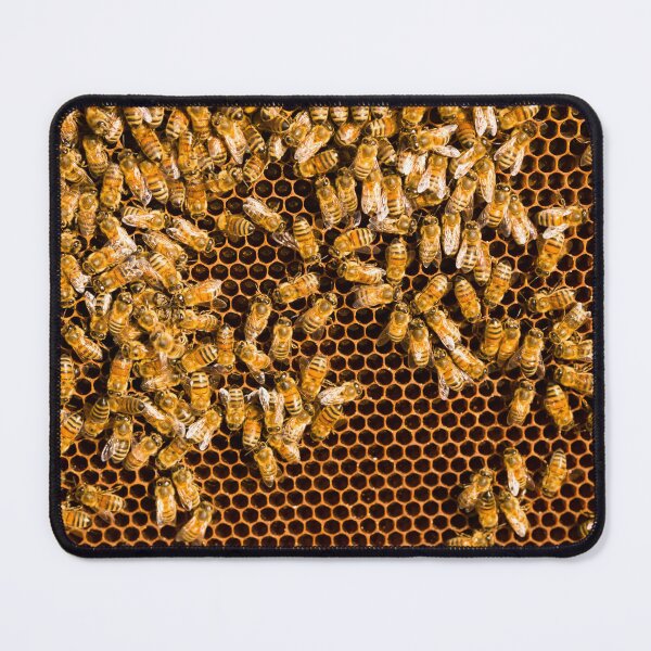 Item preview, Bees Honeycomb Nature Natural Food designed and sold by Kevin Miller Photography.