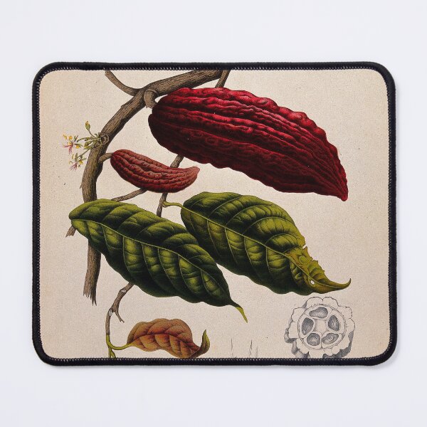 Item preview, Theobroma cacao designed and sold by 19th Century in Color.
