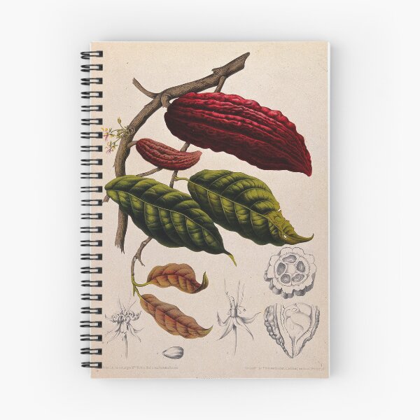 Item preview, Theobroma cacao designed and sold by 19th Century in Color.