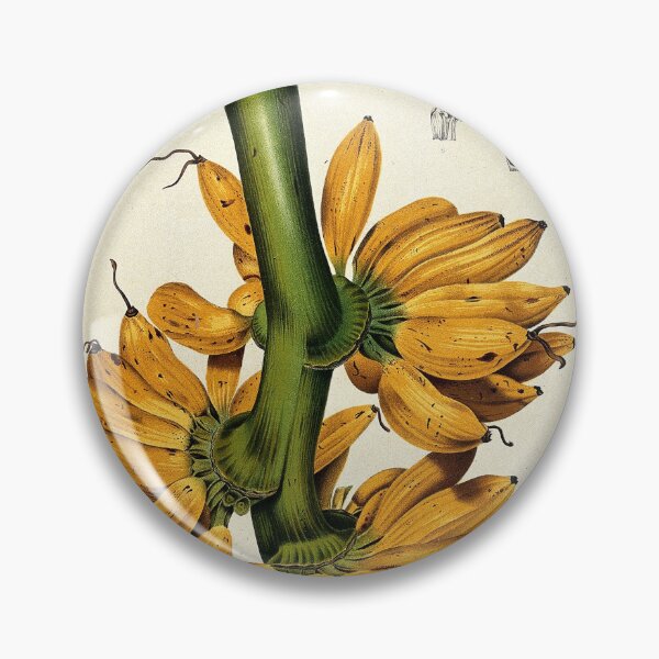 Item preview, Bananas designed and sold by 19th Century in Color.