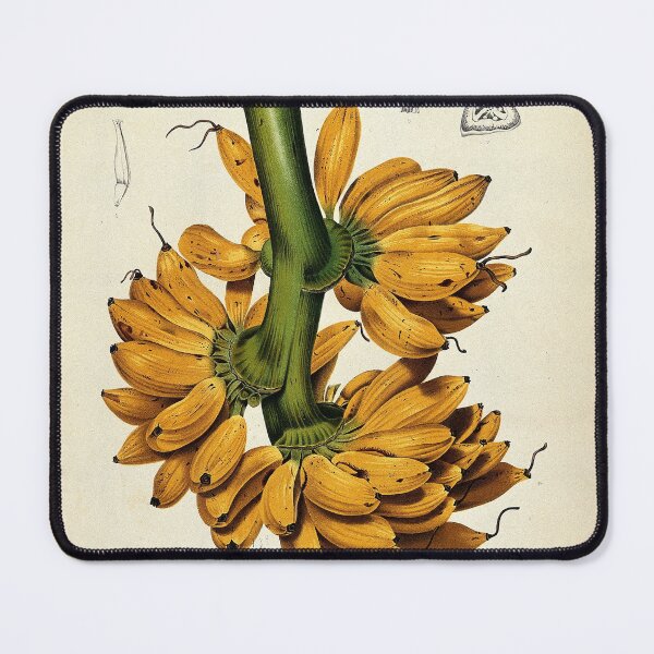 Item preview, Bananas designed and sold by 19th Century in Color.
