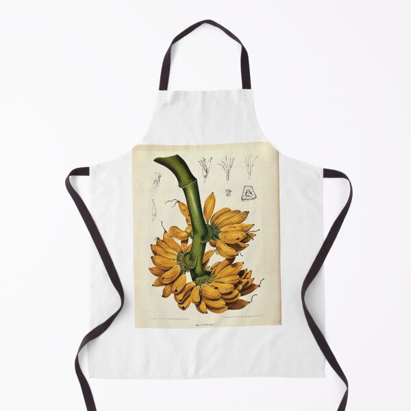 Item preview, Bananas designed and sold by 19th Century in Color.