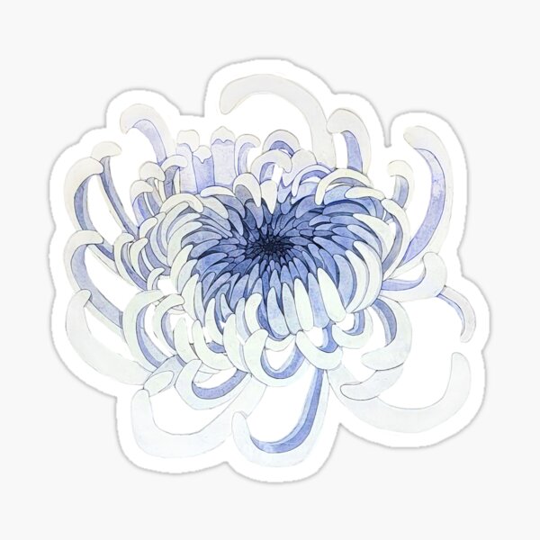 Item preview, Chrysanthemum Flower with White Background designed and sold by Madison Victoria Prints.