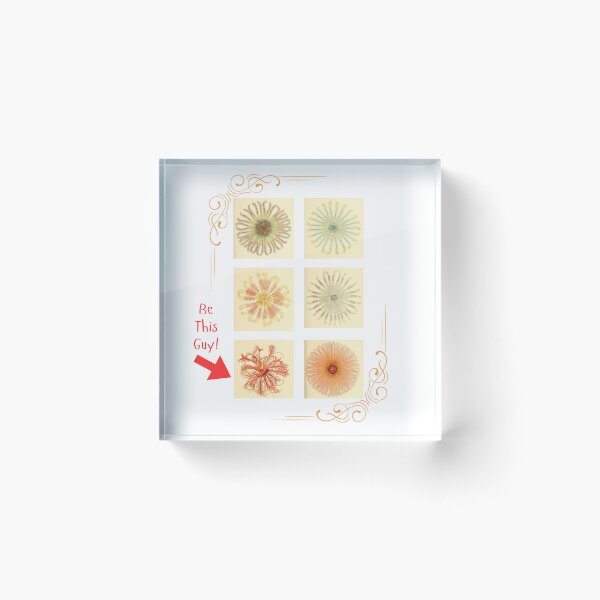 Item preview, Be This Guy (crinoids) (feather stars) designed and sold by Oddly Enchanted.