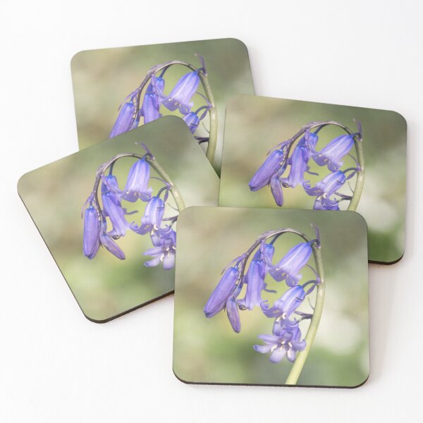 Item preview, Bluebell designed and sold by JEZ22.