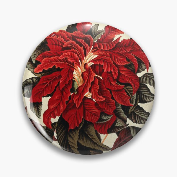 Item preview, Amaranthus tricolor designed and sold by 19th Century in Color.
