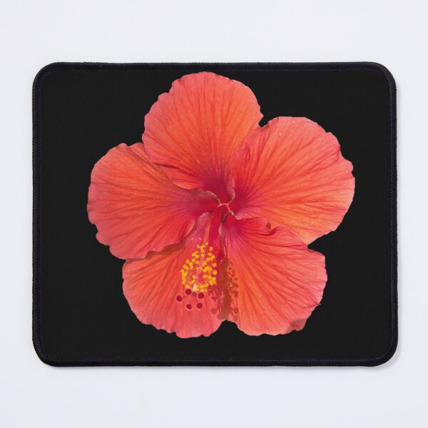 Item preview, Hibiscus designed and sold by ascherf.