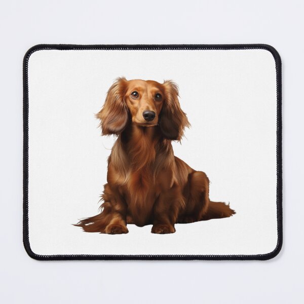 Item preview, Long-Haired Dachshund puppy designed and sold by SMARTKIT  DESIGNAGENCY.