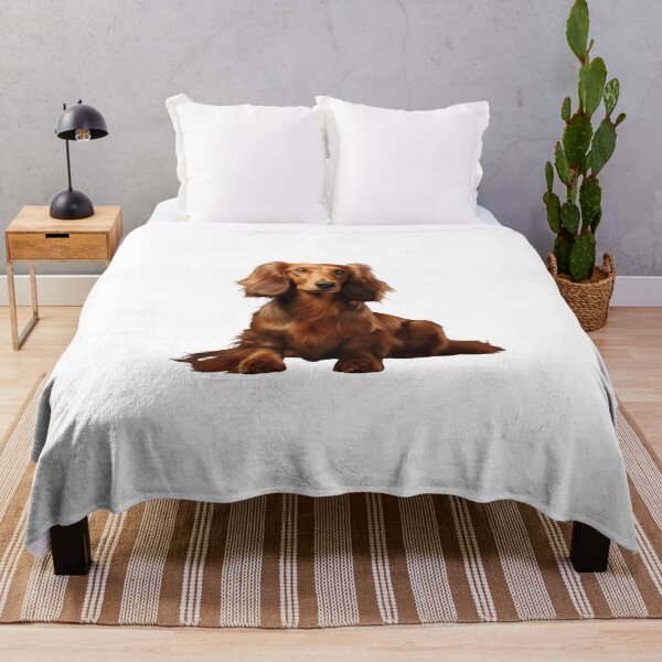 Item preview, Long-Haired Dachshund puppy designed and sold by SMARTKIT DESIGNAGENCY.