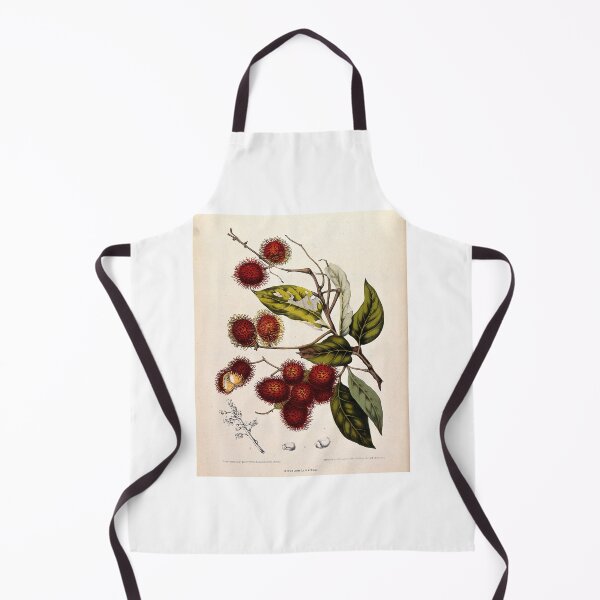Item preview, Rambutan designed and sold by 19th Century in Color.