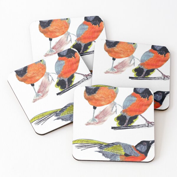 Item preview, Collared laughingthrush designed and sold by di-Vera-Rosati.