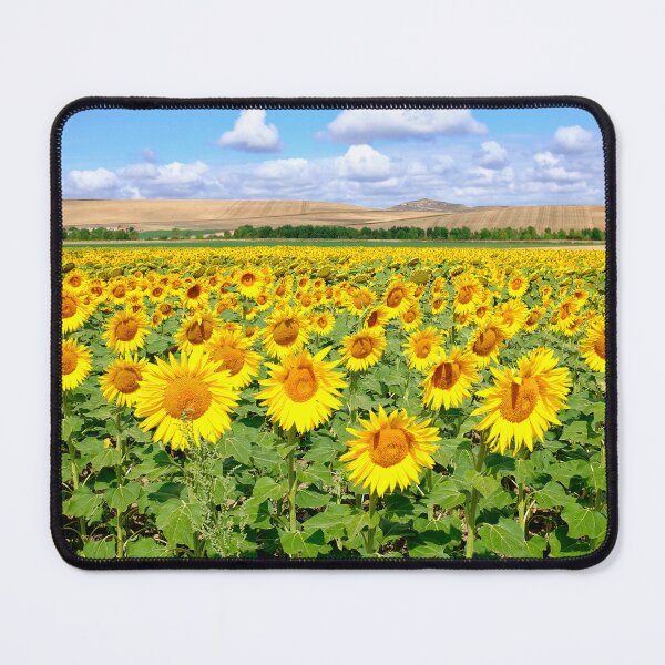 Item preview, Sunflower field designed and sold by troianifabrizio.