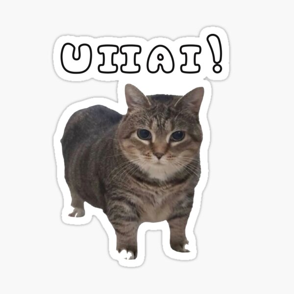 Artikel-Vorschau von lustiges Katzenmem, designt und verkauft von YONKO STORE.