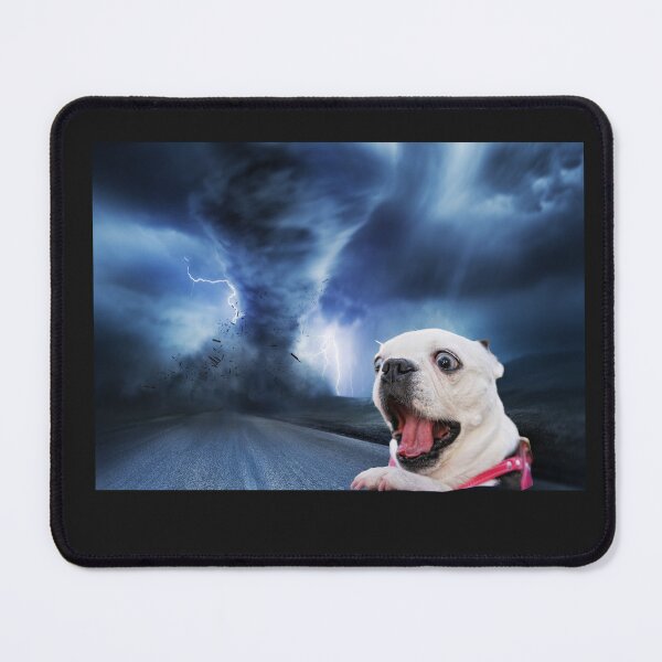 Item preview, Dog in a storm designed and sold by BlackabyBoutique.