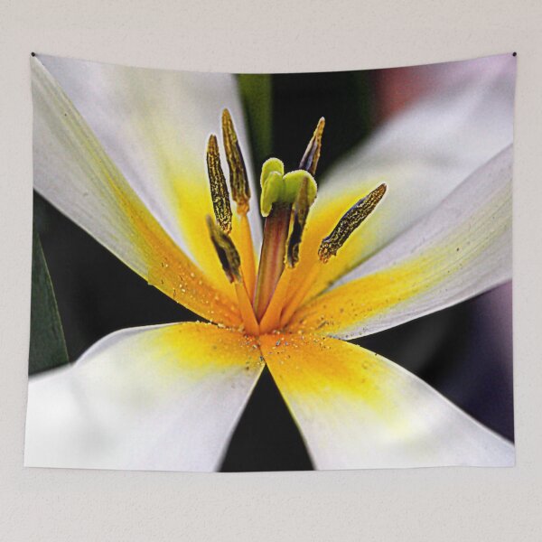 Item preview, White Tulip Unfolded designed and sold by SL Timeless Moments .