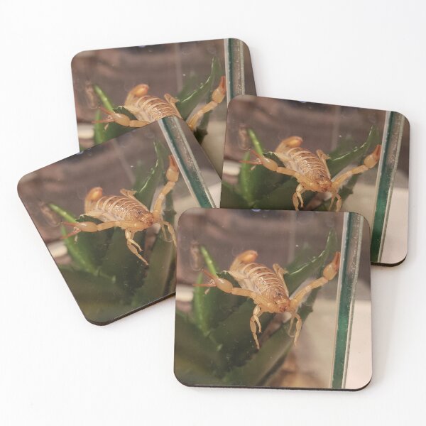 Item preview, Am Scorpion, Love Hugs designed and sold by Southern AZ.