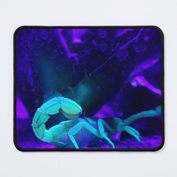 Item preview, Black Light Scorpion  designed and sold by Southern AZ.