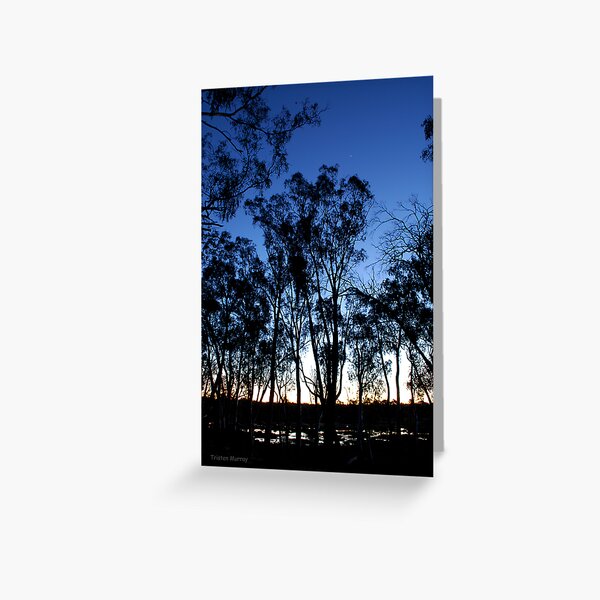 Swampy Sunset Greeting Card