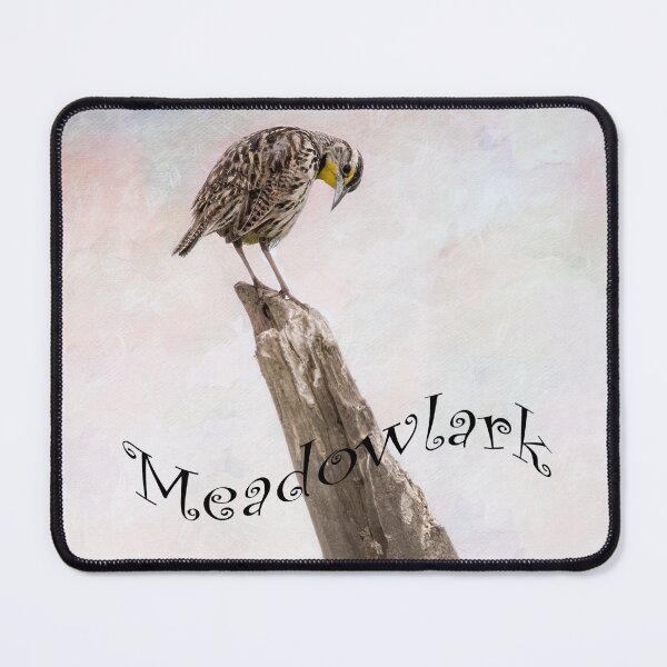 Item preview, Meadowlark designed and sold by CarolM.
