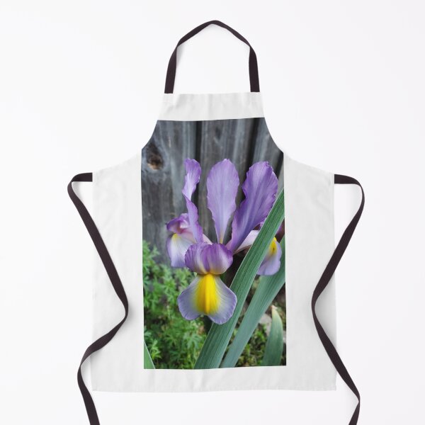 Artikelvorschau, Eine lila Iris blüht entworfen und verkauft von FoxGlove5.
