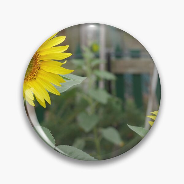 Item preview, Being a Sunflower ( 1 ) designed and sold by Larry Davis.