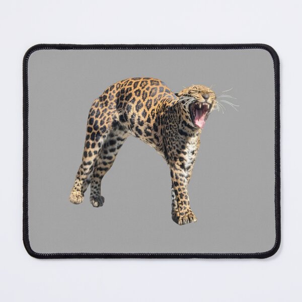 Item preview, Biiig Stretch designed and sold by CraftsmAnimals.