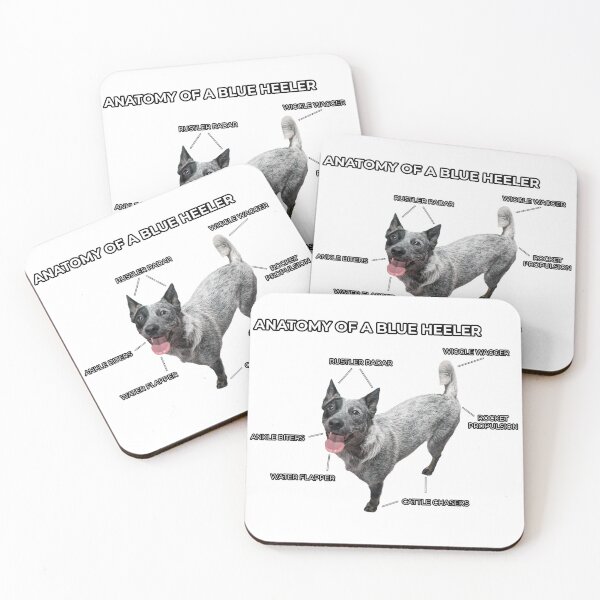 Item preview, Anatomy of a Blue Heeler designed and sold by CraftsmAnimals.