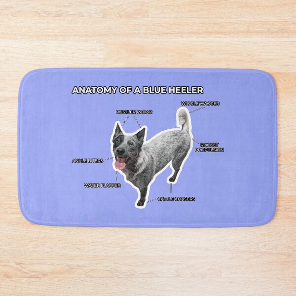 Item preview, Anatomy of a Blue Heeler designed and sold by CraftsmAnimals.