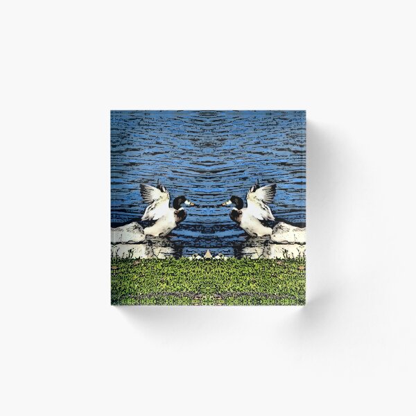 Item preview, The ducks designed and sold by Willssb.