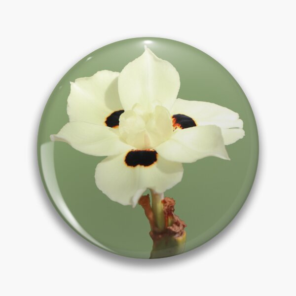 Item preview, An Australian Yellow Iris designed and sold by STHogan2.