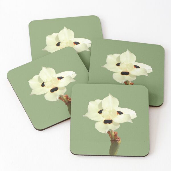 Item preview, An Australian Yellow Iris designed and sold by STHogan2.