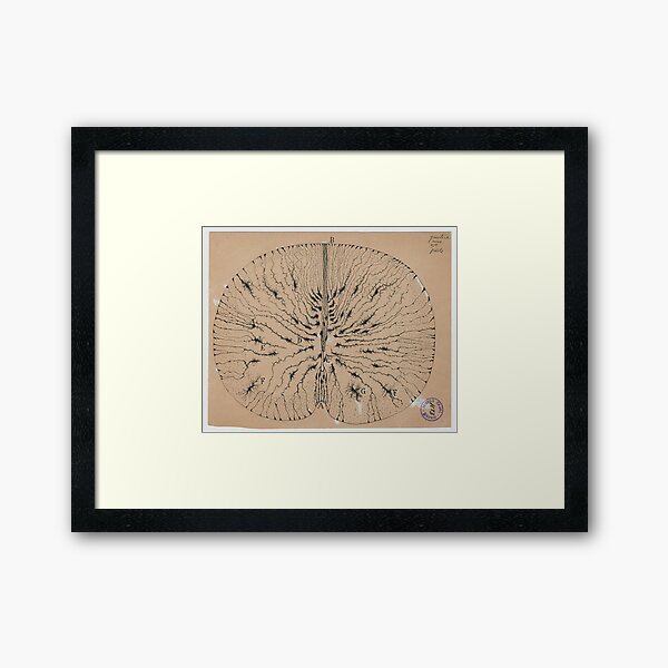 Glial cells Framed Art Print
