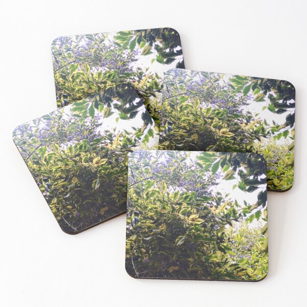 Item preview, Queen's Wreath: Vibrant Purple Blossoms of Balboa Park designed and sold by LizyFruitBatPrints.