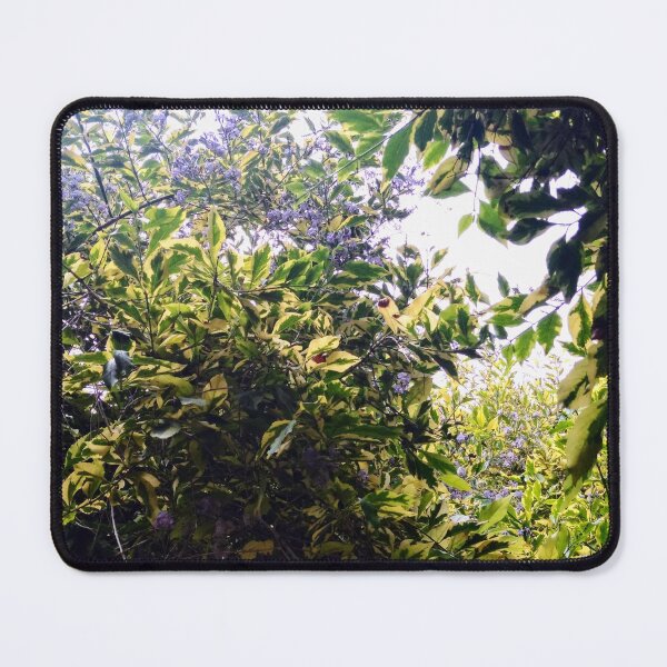 Item preview, Queen's Wreath: Vibrant Purple Blossoms of Balboa Park designed and sold by LizyFruitBatPrints.
