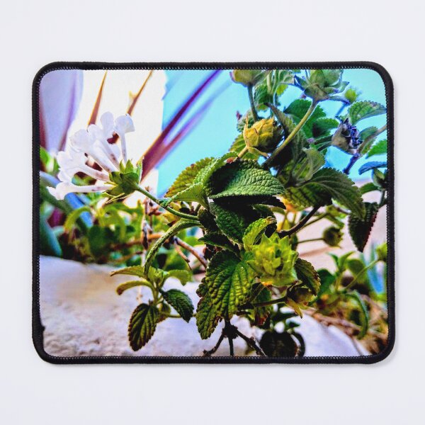 Item preview, Trailing Lantana: Vibrant Groundcover Floral Art designed and sold by LizyFruitBatPrints.