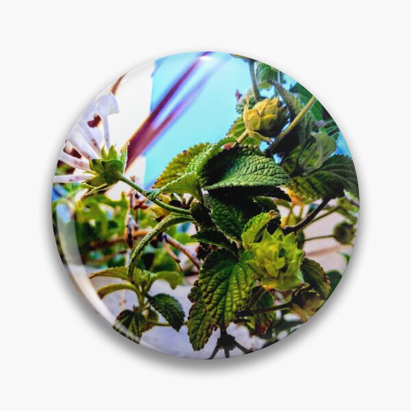 Item preview, Trailing Lantana: Vibrant Groundcover Floral Art designed and sold by LizyFruitBatPrints.