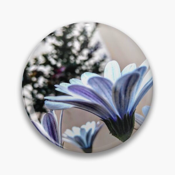 Item preview, Cape Marguerite: Elegant African Daisy Art designed and sold by LizyFruitBatPrints.