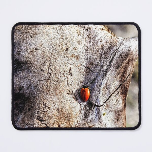 Item preview, Sleeping Ladybug designed and sold by CaliGirlTreasur.